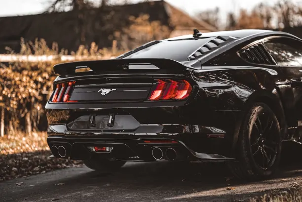 PlaySunny Kazino Android/iOS Lietotne